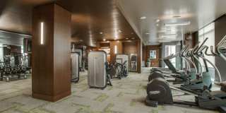 The Catherine Gallery 55