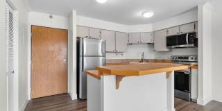 Spacious, Renovated Downtown Condo with Breathtaking Views of the City! Gallery 4