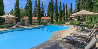 Palm Mission Village & Estates Gallery 44