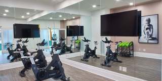 Spark Bloomfield Spark Bloomfield Gallery 5