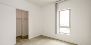 The Grand Gallery 86