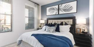 Alta Surprise Gallery 16