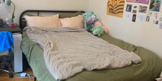 318 Saint Paul St #4D Brookline MA 02446 Gallery 3