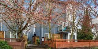 Light-Filled Contemporary Townhome Near Downtown Seattle! Light-Filled Contemporary Townhome Near Downtown Seattle! Gallery 1