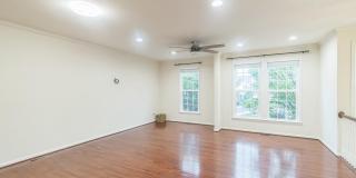 42385 TRELLIS Square Gallery 15