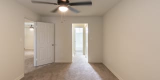 College Woods Gallery 37