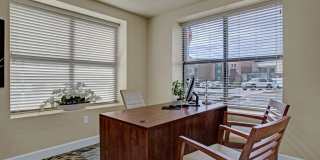 Hills at Sandy Station Gallery 14