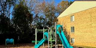 Linden Park Gallery 10