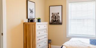 Paugus Woods Gallery 23