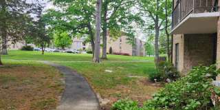2010 COLTS NECK Road Gallery 11