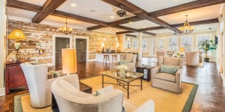 Element Carolina Bay Element Carolina Bay Gallery 8