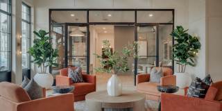 Artistry on Greenwich Gallery 3