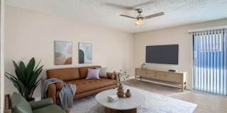 Rise Skyview Gallery 24