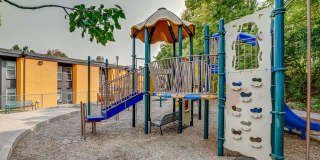 Bears Village Gallery 5