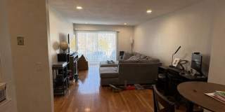 6 Gilson Rd. Gallery 3