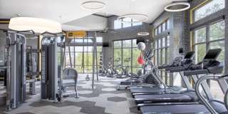 Domain at Midtown Park Gallery 12