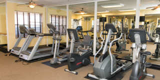 Truman Park Gallery 15