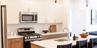 The Olive The Olive Gallery 1