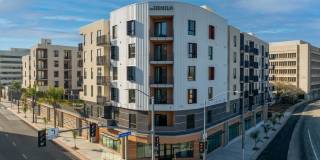 The DeMilo Gallery 30