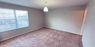 27507 DESERT WILLOW WAY Gallery 12