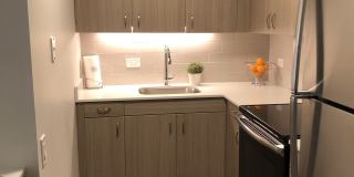 1132 N Dearborn St Gallery 8