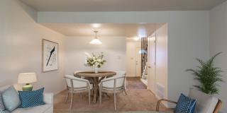 Southgate Manor Gallery 6