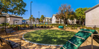 REVERB at Spring Valley Gallery 41