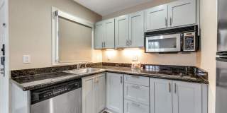 Vivo Living Charlotte Gallery 22