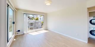 2898 Jackson Gallery 14