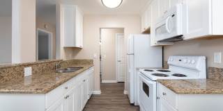 Volterra at La Mesa Gallery 22