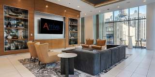 Arrive Michigan Avenue Gallery 31