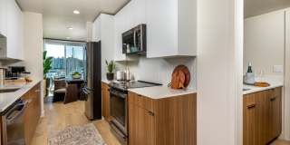 Dolphin Marina Gallery 7