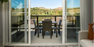 The Harrington Gallery 21