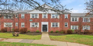 343 Bloomfield Ave Gallery 1