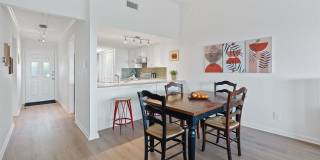 1101 Hollow Creek Drive Gallery 15
