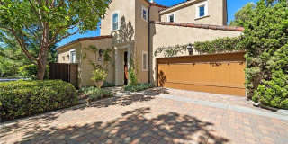 61 Shade Tree Gallery 1