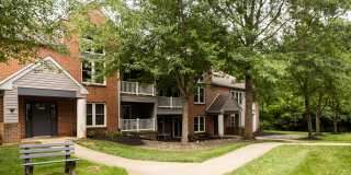 The Meadows Gallery 5