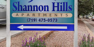 Shannon Hills Gallery 19