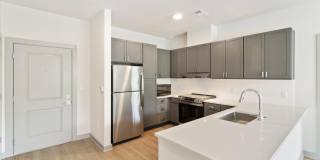 The Belle at the Lamar Gallery 66