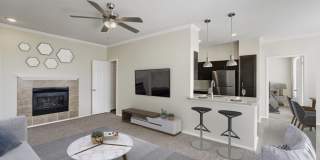 Camden Caley Gallery 3