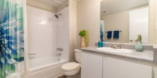 Puerta Del Sol Gallery 15