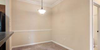 Angel Landing Gallery 6