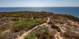 34385 Dana Strand Rd. Road Gallery 34