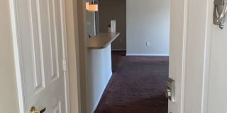 Beautiful Condo! Gallery 6