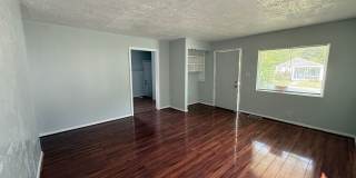 Spacious 3 Bedroom, 1 Bath Home with Basement & Large Backyard Gallery 6