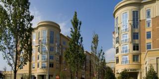 The Residence at Southpark Gallery 21