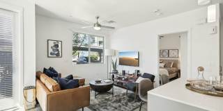 The Aviary Gallery 15