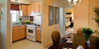 Colonial Square Gallery 14