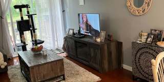 28 Shelburne Road Gallery 6