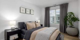 209 Asher Hills Ct Gallery 10